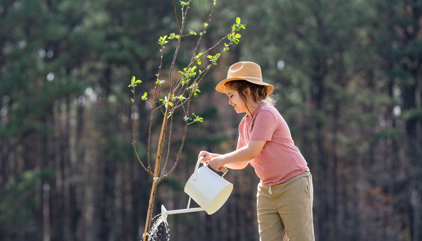 Martie, luna propice pentru plantarea pomilor fructiferi și a arborilor ornamentali Primele zile ale lunii martie reprezintă un moment ideal pentru plantarea pomilor fructiferi și a arborilor ornamentali, o practică ce poate contribui semnificativ la dezvoltarea lor sănătoasă