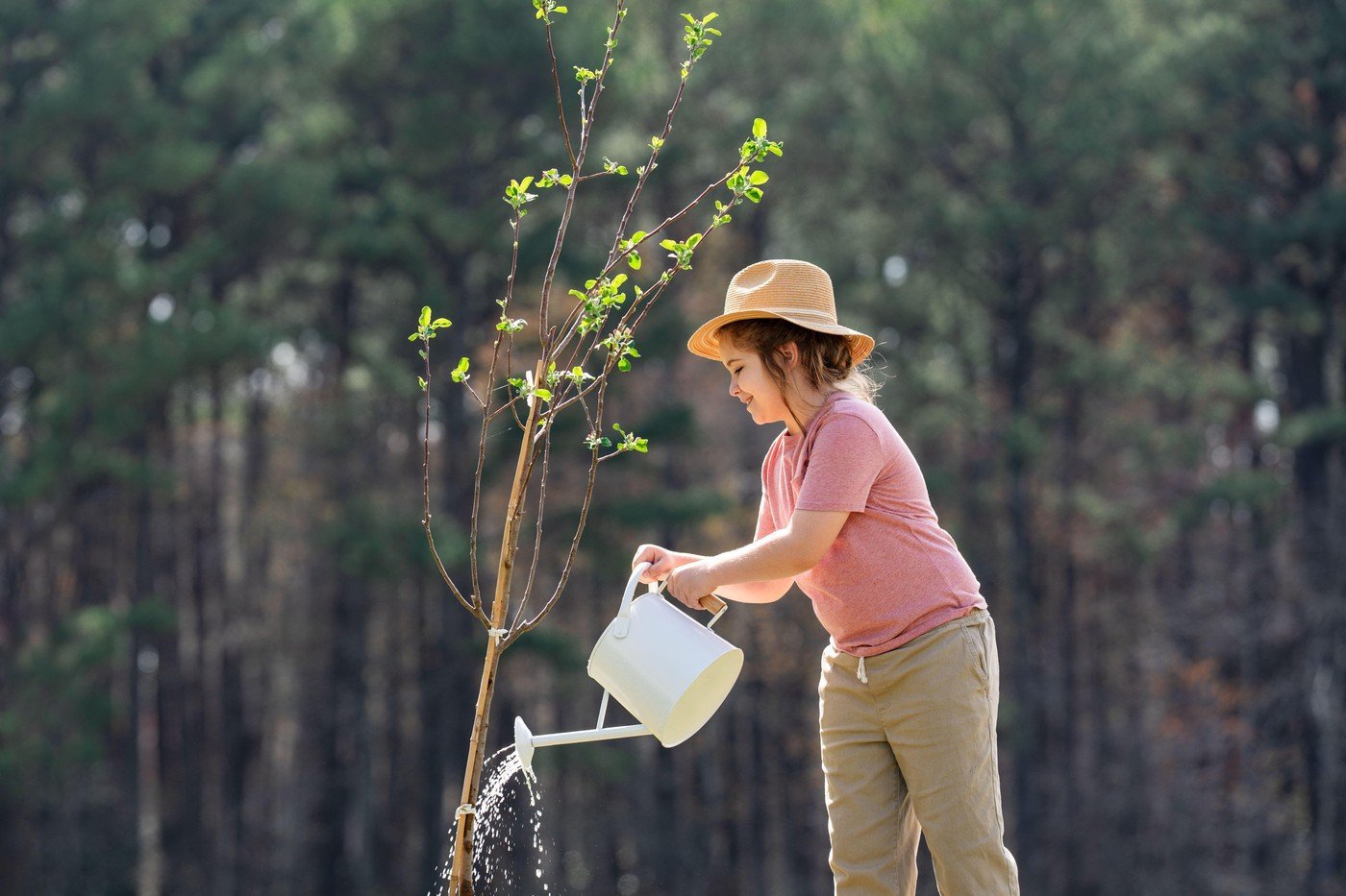 Martie, luna propice pentru plantarea pomilor fructiferi și a arborilor ornamentali Primele zile ale lunii martie reprezintă un moment ideal pentru plantarea pomilor fructiferi și a arborilor ornamentali, o practică ce poate contribui semnificativ la dezvoltarea lor sănătoasă