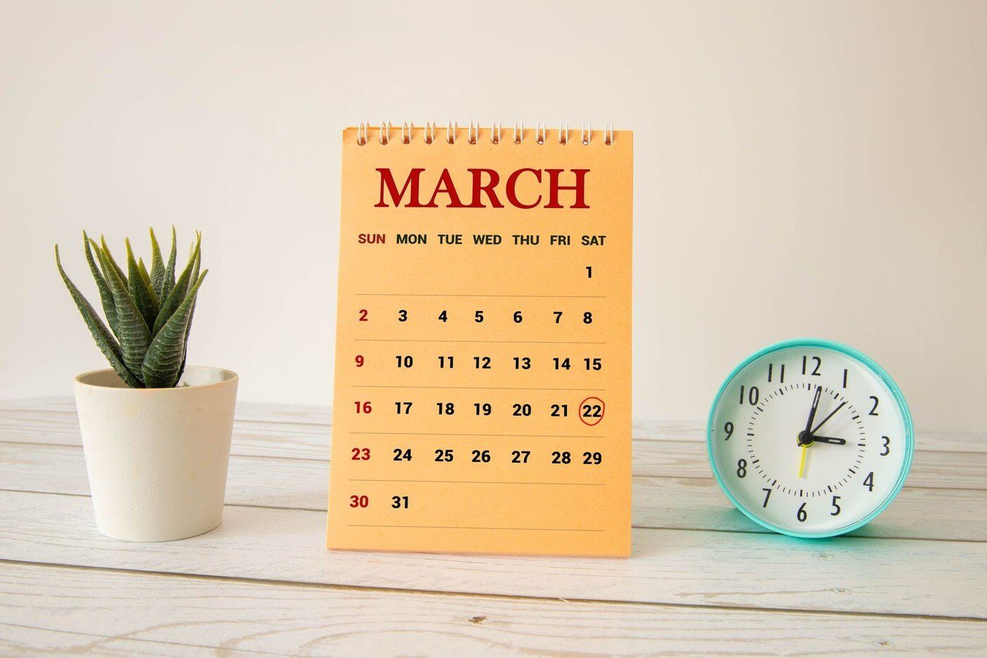 Echinocțiul de primăvară: natură în renaștere și schimbări în calendarul astronomic Echinocțiul de primăvară, un eveniment astronomic important, marchează echilibrul perfect între zi și noapte