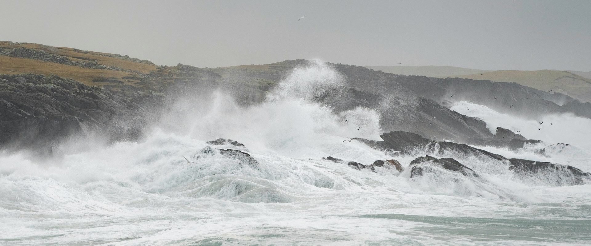 El Niño revine? Posibilă creștere a temperaturilor globale în 2026 Fenomenul climatic El Niño are șanse mari să se manifeste din nou, cu posibile consecințe severe asupra temperaturilor globale