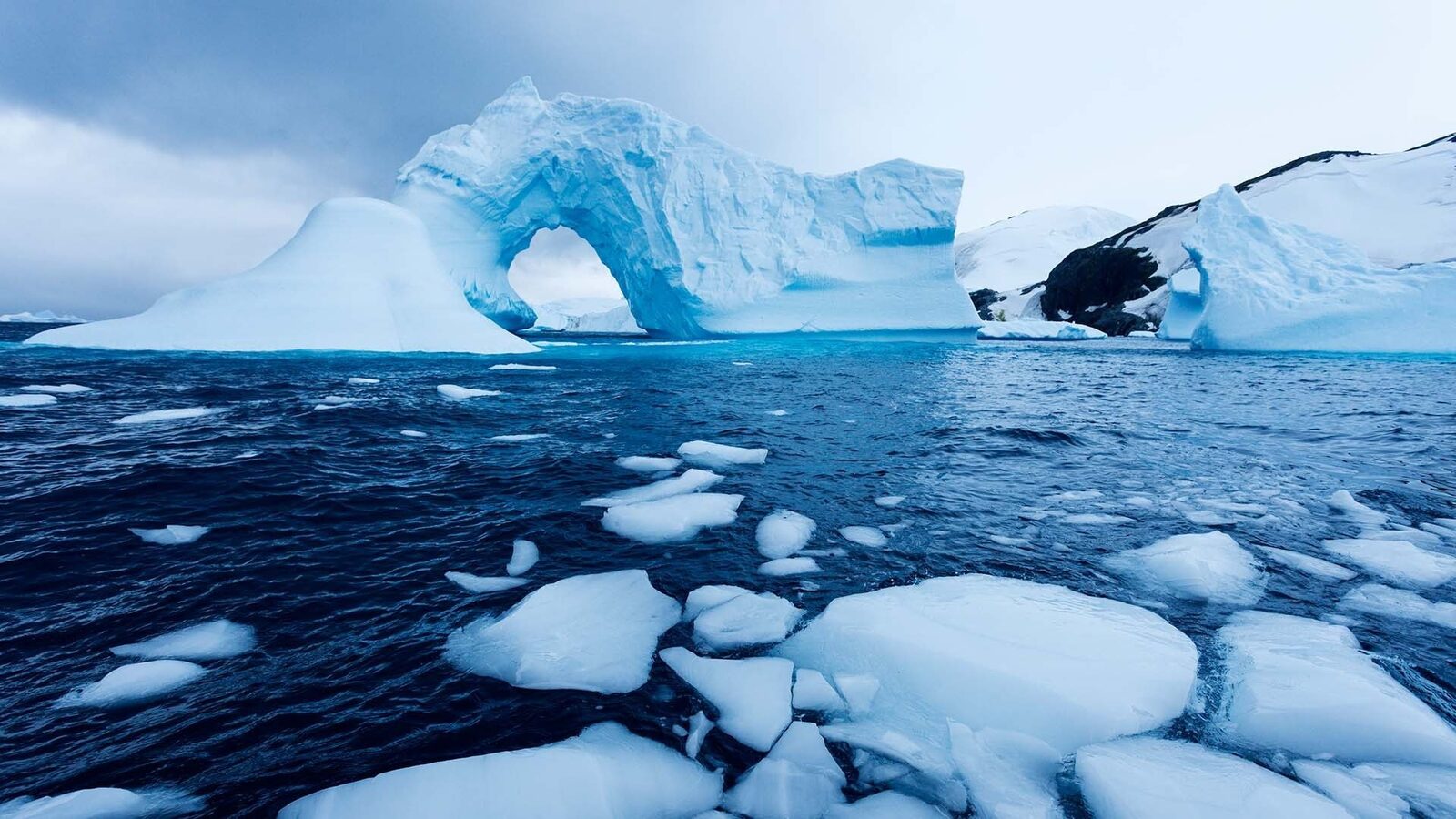 O “capsulă a timpului” din Alaska dezvăluie secretele trecutului climatic și avertizează asupra viitorului O echipă de cercetători a descoperit în Alaska o gheață antică, cu potențialul de a oferi informații valoroase despre schimbările climatice din trecutul îndepărtat