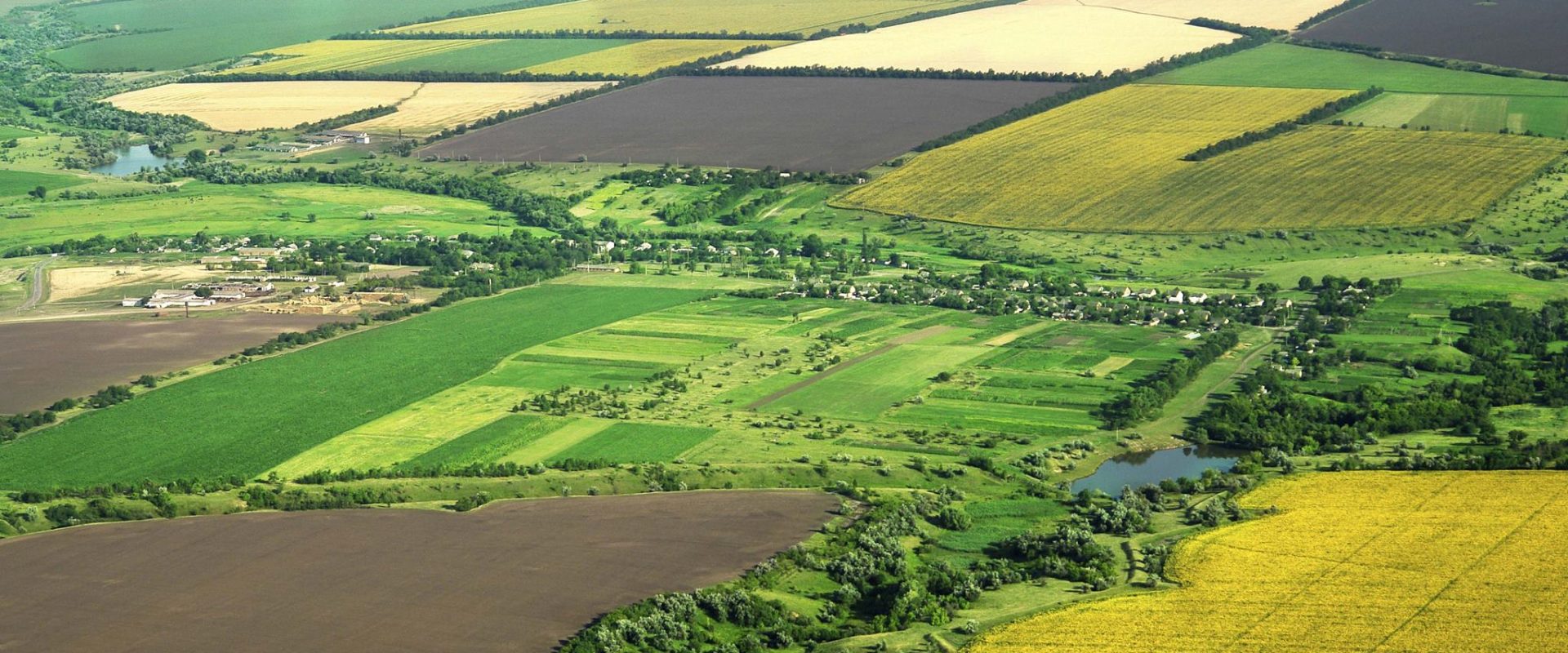 Atenție la terenuri: Cum poți pierde proprietatea din cauza neglijenței În România, dreptul de proprietate asupra unui teren este legal garantat prin acte precum contracte de vânzare-cumpărare sau moșteniri