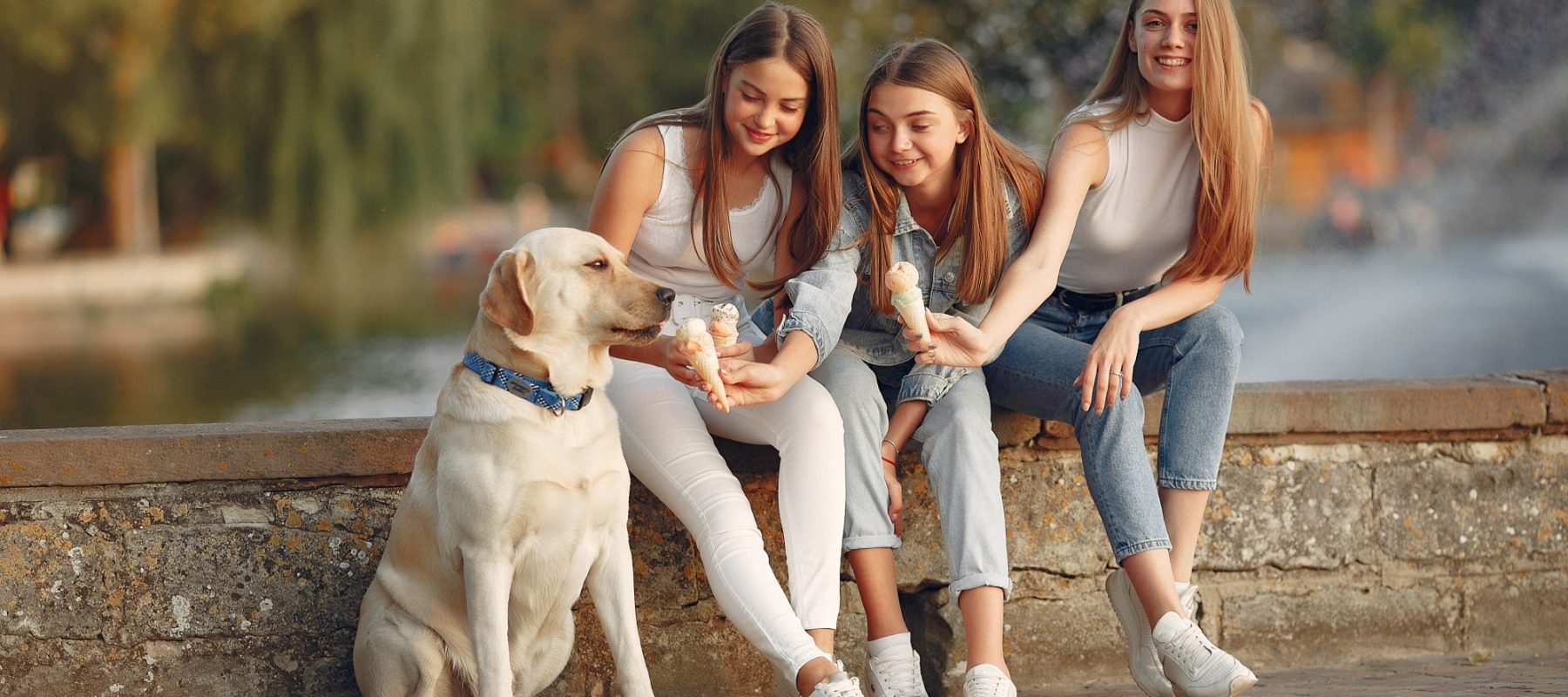 Ziua Femeii și realitatea demografică: Care sunt județele unde bărbații sunt majoritari? Pe fondul pregătirilor pentru sărbătorirea zilei de 8 Martie, o analiză a datelor demografice din România scoate la iveală o realitate surprinzătoare