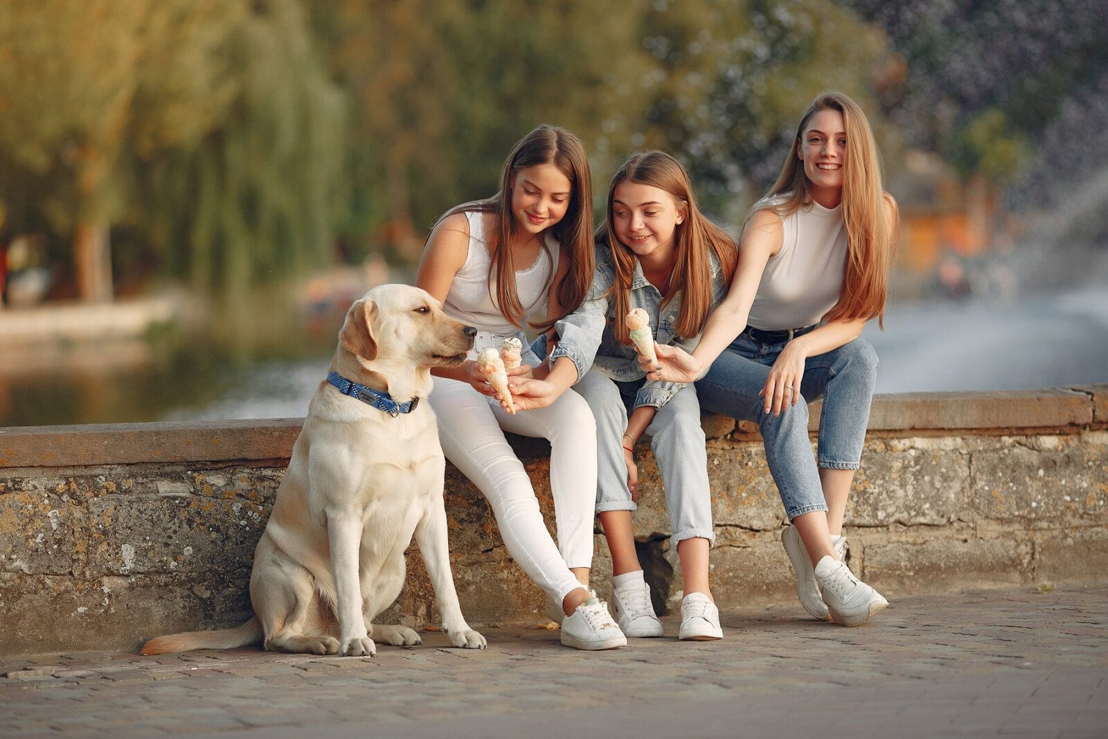 Ziua Femeii și realitatea demografică: Care sunt județele unde bărbații sunt majoritari? Pe fondul pregătirilor pentru sărbătorirea zilei de 8 Martie, o analiză a datelor demografice din România scoate la iveală o realitate surprinzătoare