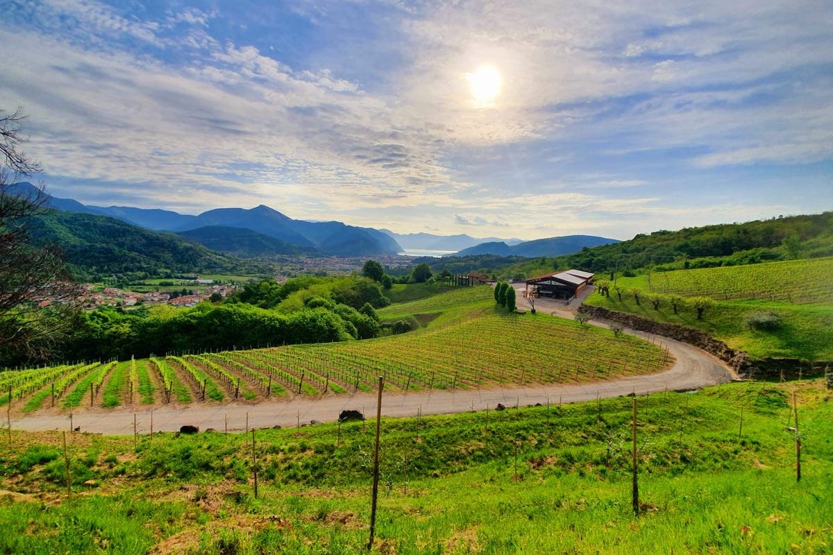 Afaceri cu parfum de feminitate în Toscana: Un sector economic dominat de femei și străini Regiunea Siena, situată în inima Toscanei, Italia, se distinge printr-o caracteristică specifică a mediului de afaceri