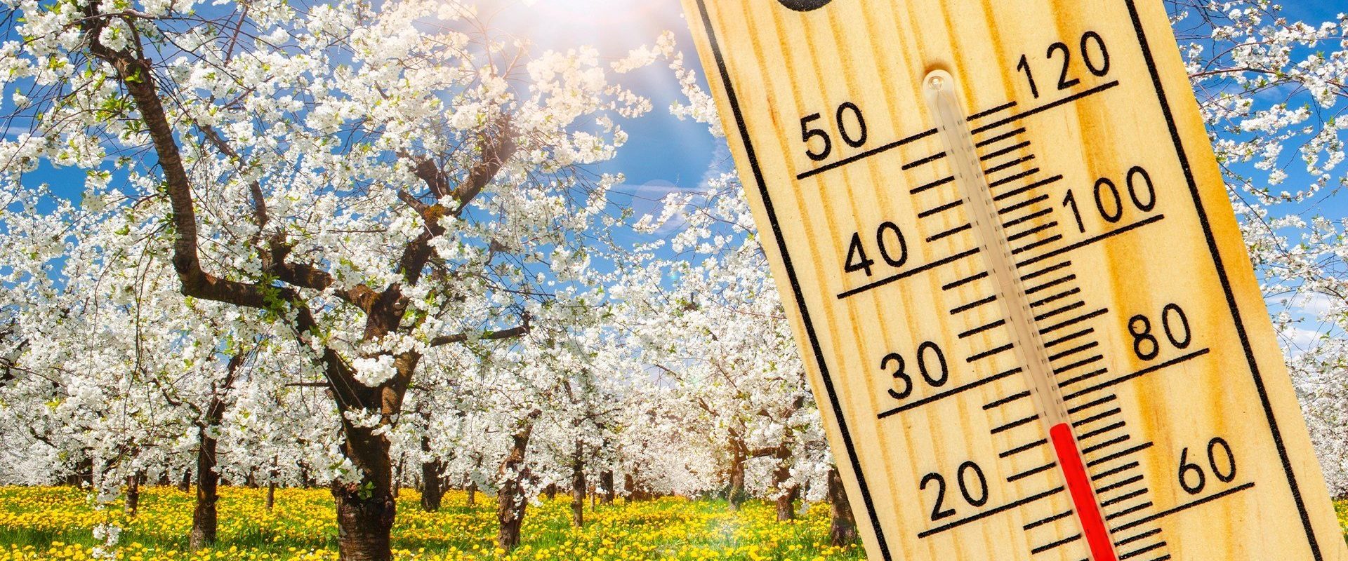 Vremea de Paște, un mozaic meteorologic: De la soare la ploaie, în funcție de regiune Bucuria sărbătorilor pascale va fi acompaniată, se pare, de o vreme capricioasă în majoritatea regiunilor țării