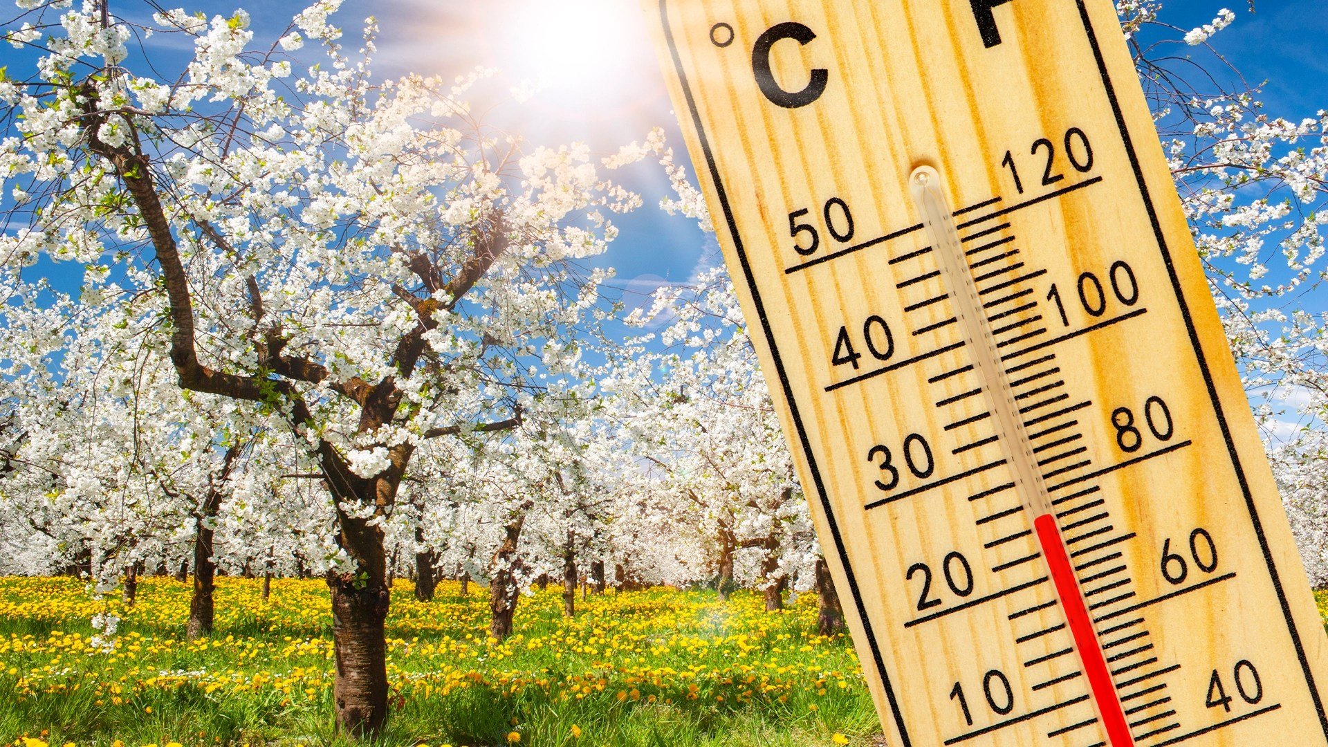 Vremea de Paște, un mozaic meteorologic: De la soare la ploaie, în funcție de regiune Bucuria sărbătorilor pascale va fi acompaniată, se pare, de o vreme capricioasă în majoritatea regiunilor țării