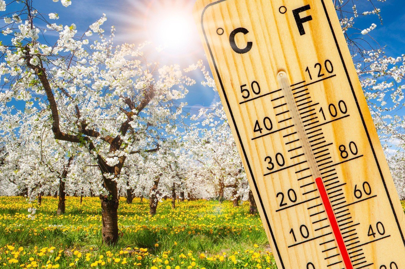 Vremea de primăvară în martie 2026: Prognoza meteo pentru România Martie 2026 va aduce temperaturi peste medie în majoritatea regiunilor țării, cu precipitații deficitare, potrivit estimărilor meteo