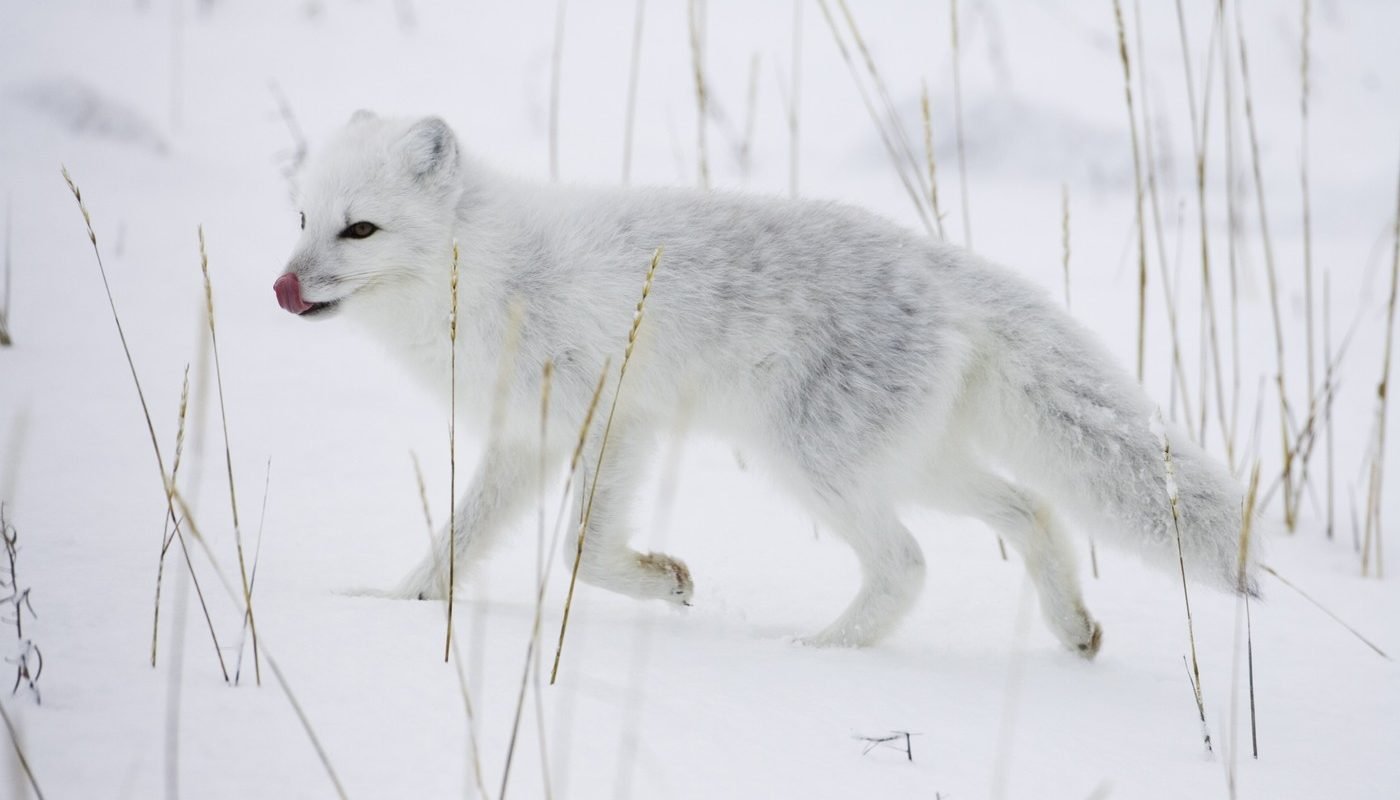 Descoperirea șocantă a unei femei: Ce a găsit