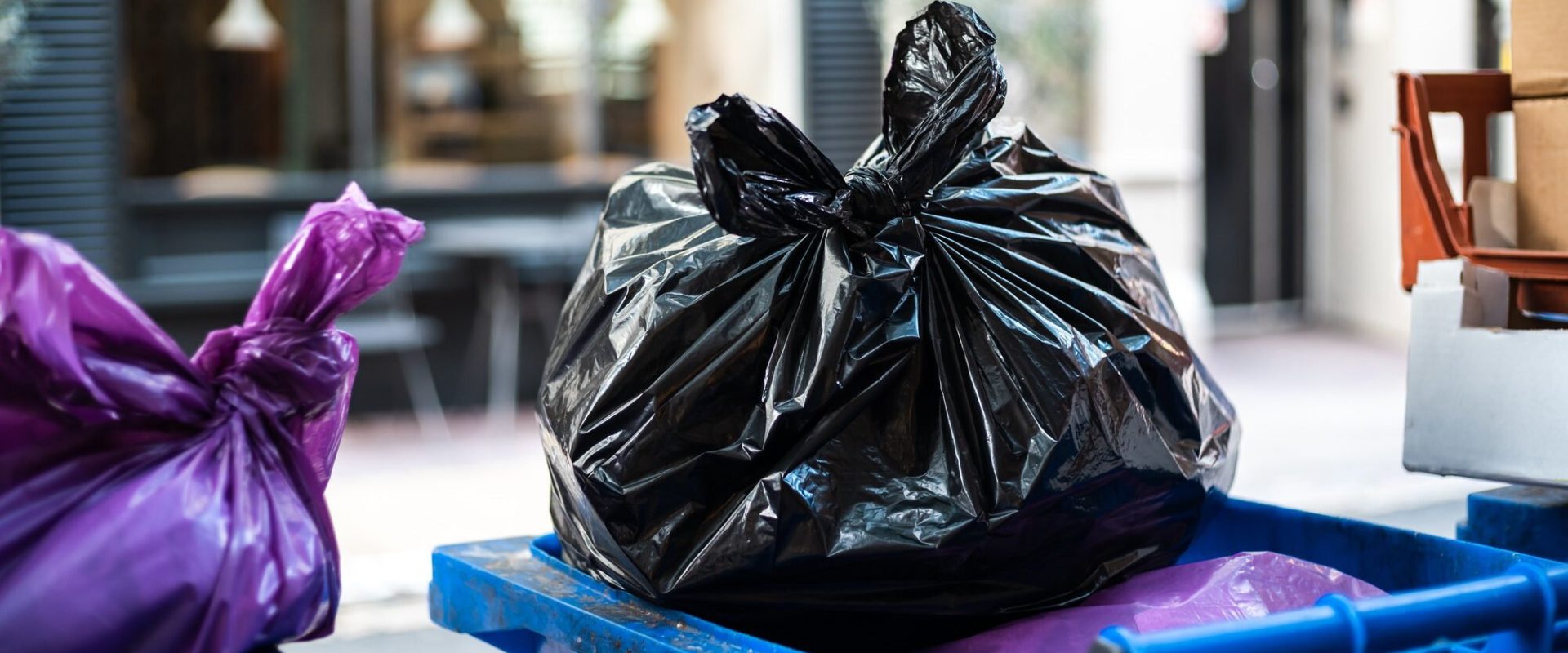 Sectorul 2: Cum scapi GRATUIT de deșeurile din locuință în București