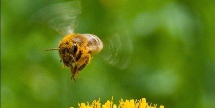 Cerul se va înnora treptat, începând cu sudul țării, și va aduce vreme schimbătoare, cu ploi slabe în unele zone și vânt puternic, conform prognozei meteo