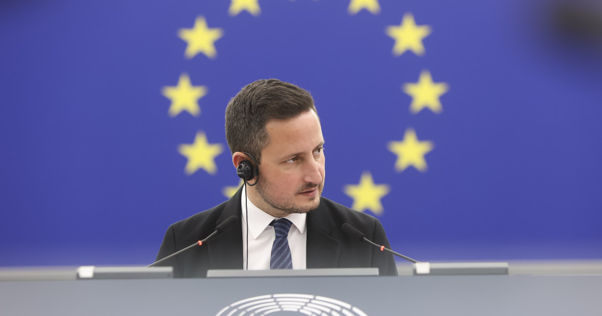 Nicu Ștefănuță cere „moment Ungaria” în România: Parlamentul, „ras tot”