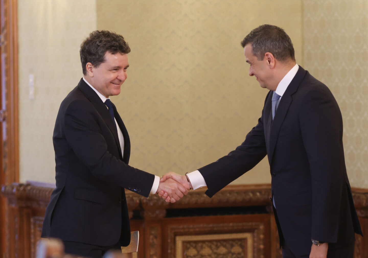 Nicuşor Dan, consultări de criză cu partidele: AUR, SOS şi POT, excluse