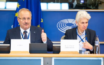 România, la răscruce: Fondurile europene cer viteză și strategie în apărare