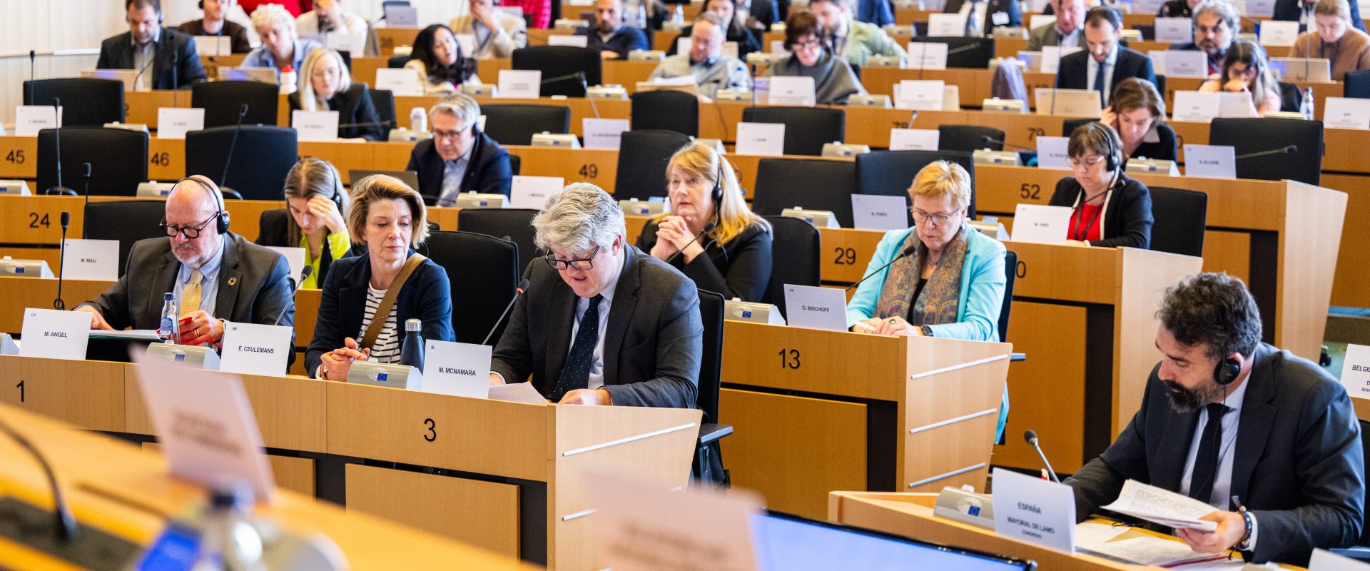 Parlamentarii europeni pun democrația sub lupă, în era AI