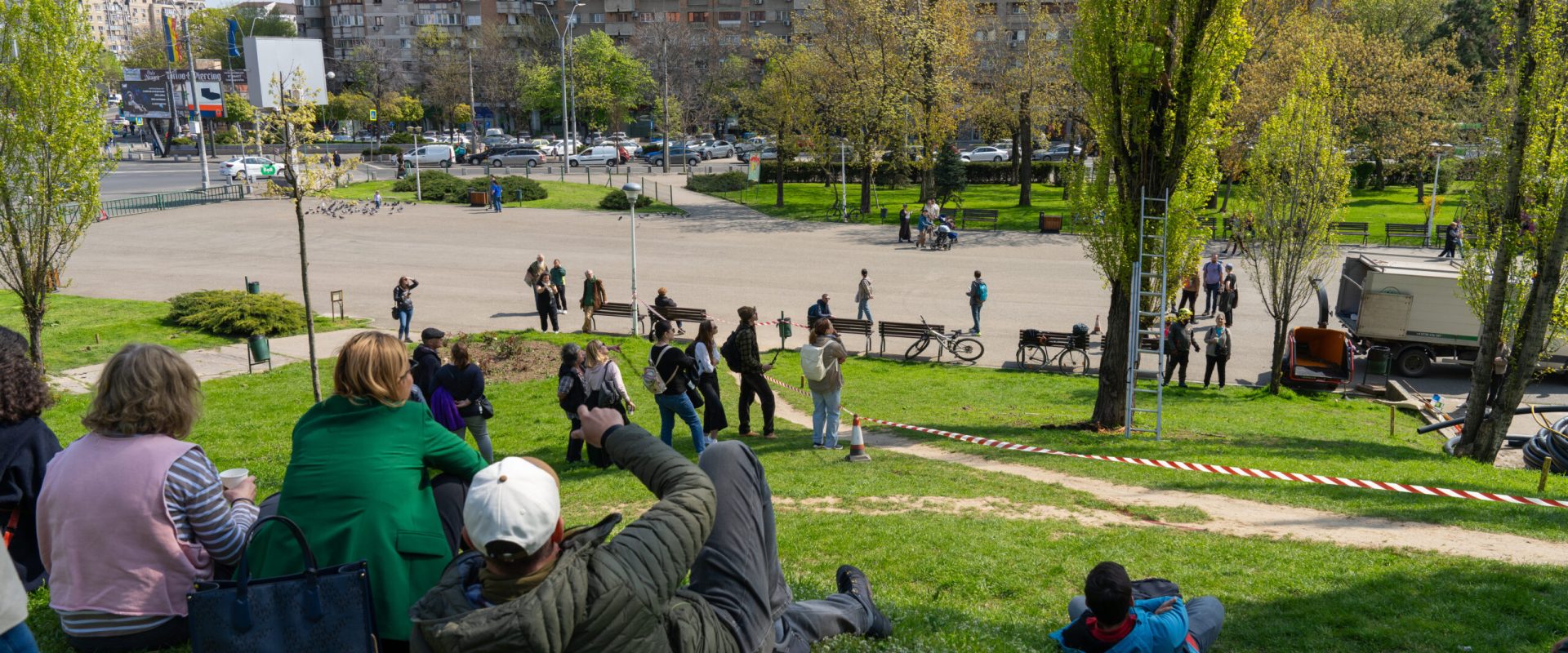 Atenție la plopii din Parcul Tineretului: Intervenții de urgență pentru salvare