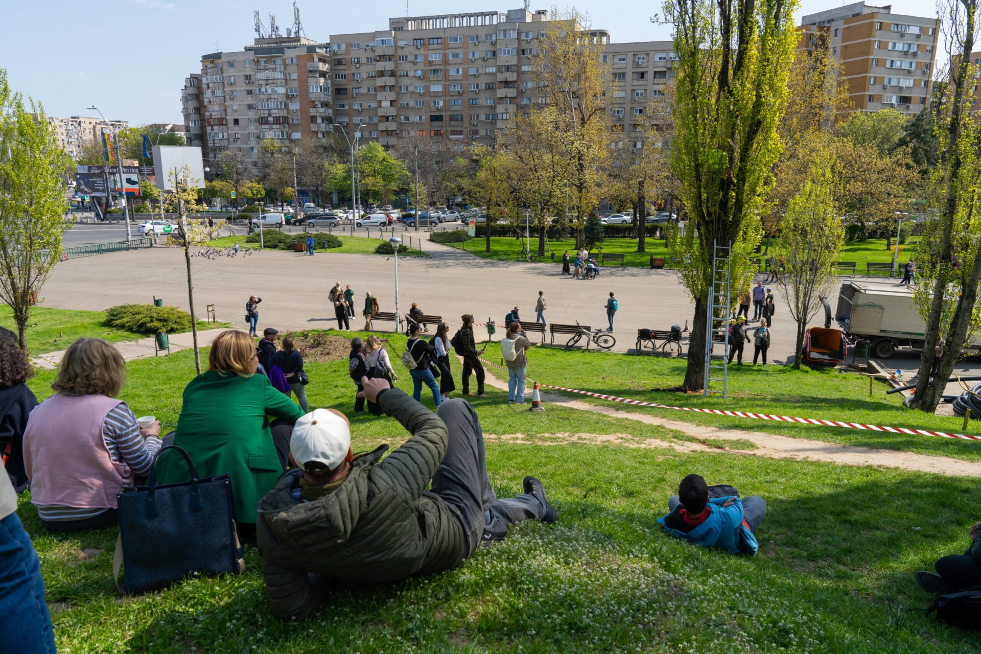 Atenție la plopii din Parcul Tineretului: Intervenții de urgență pentru salvare