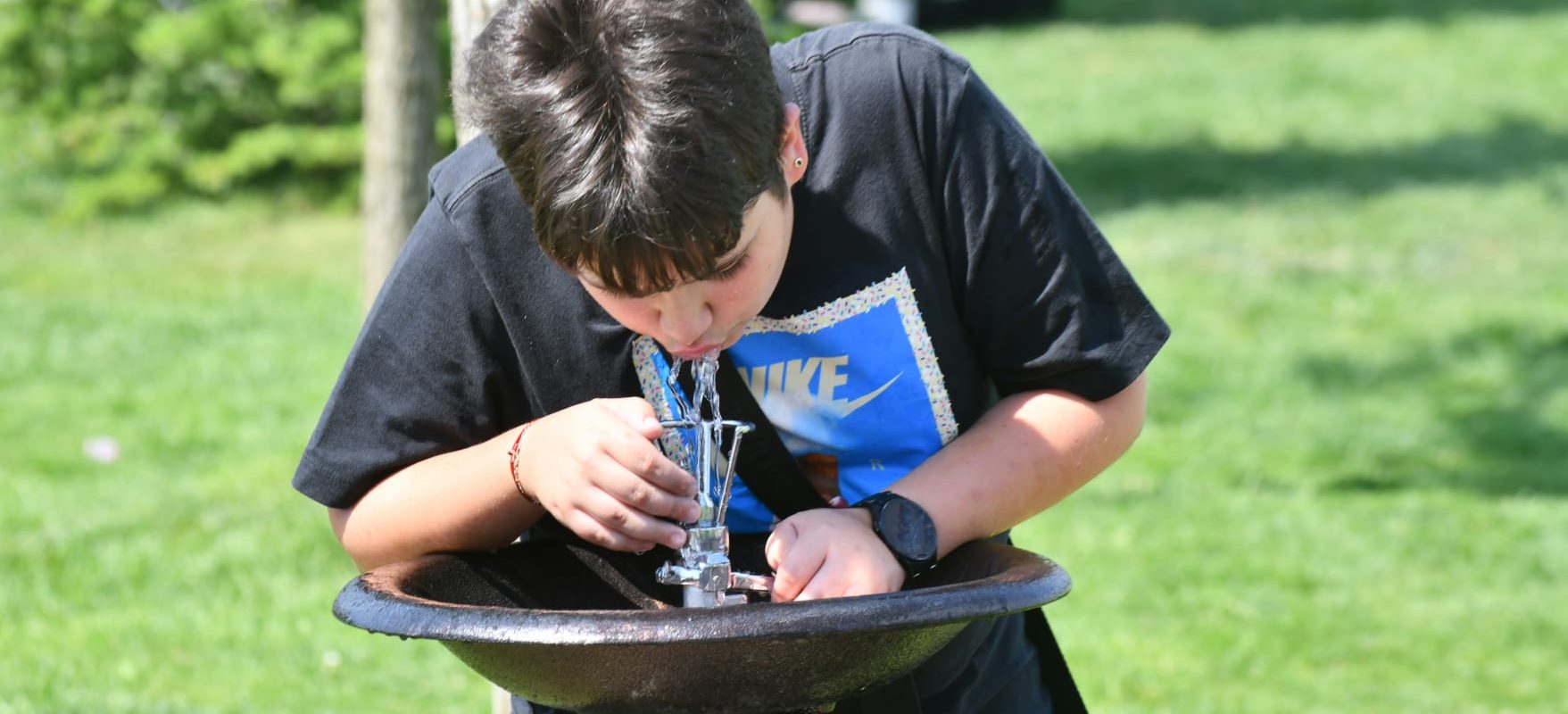 O firmă fantomă, cu un singur angajat, încasează zeci de mii de euro de la Sectorul 6