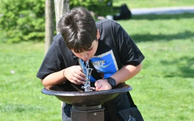 O firmă fantomă, cu un singur angajat, încasează zeci de mii de euro de la Sectorul 6