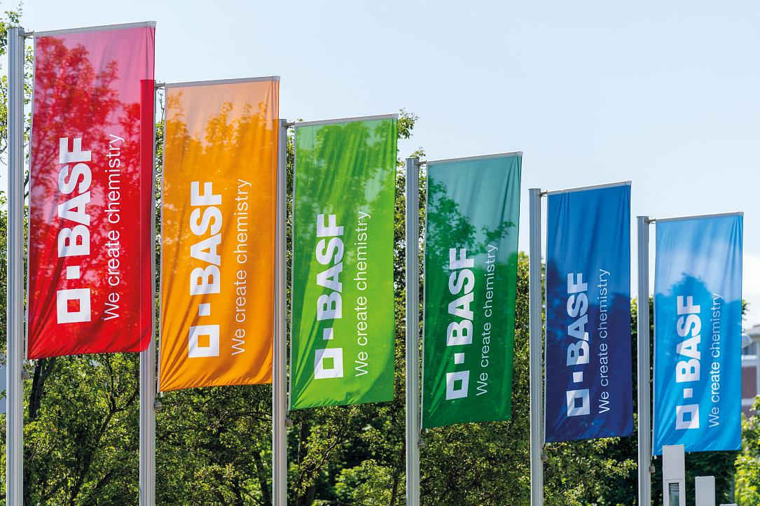 BASF Angajează: Peste 50 de Locuri de Muncă la București în Domeniul Corporate
