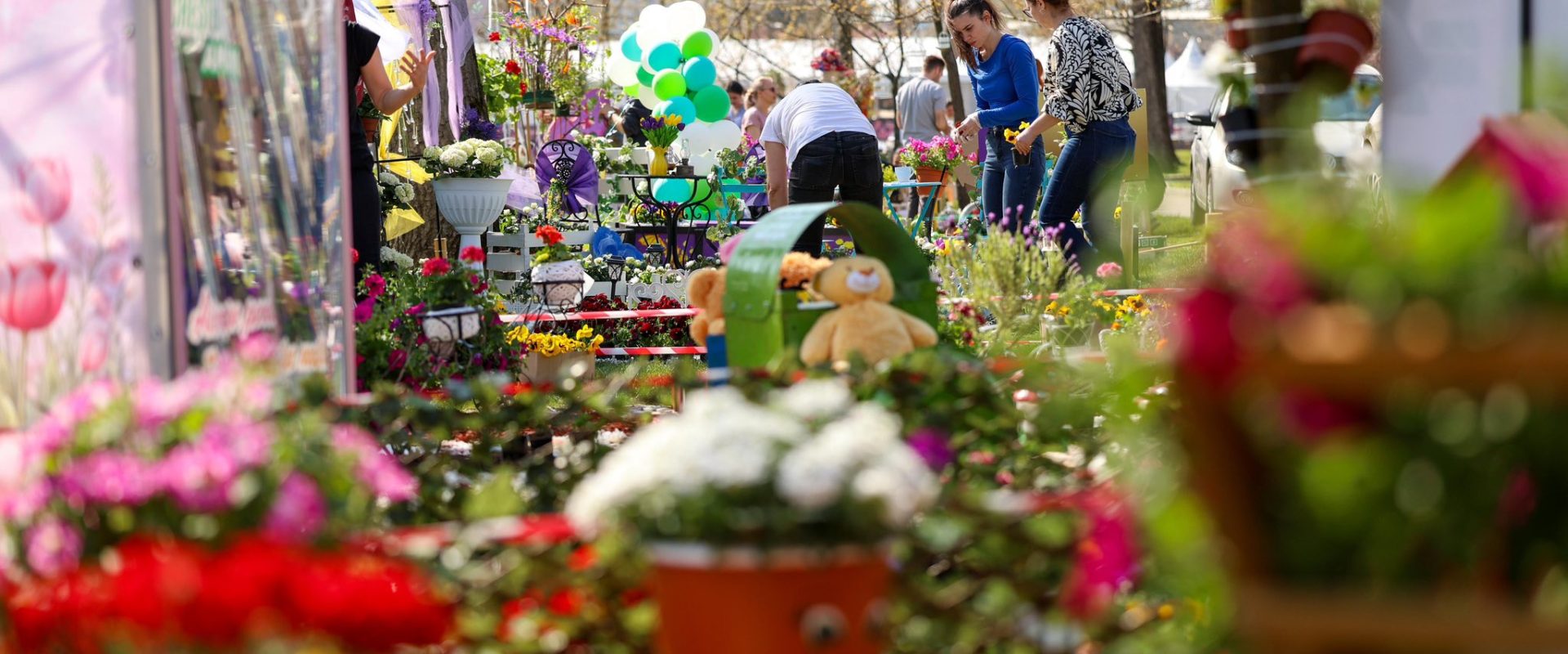 Simfonia Lalelelor, la Pitești: Florari din toată România expun flori