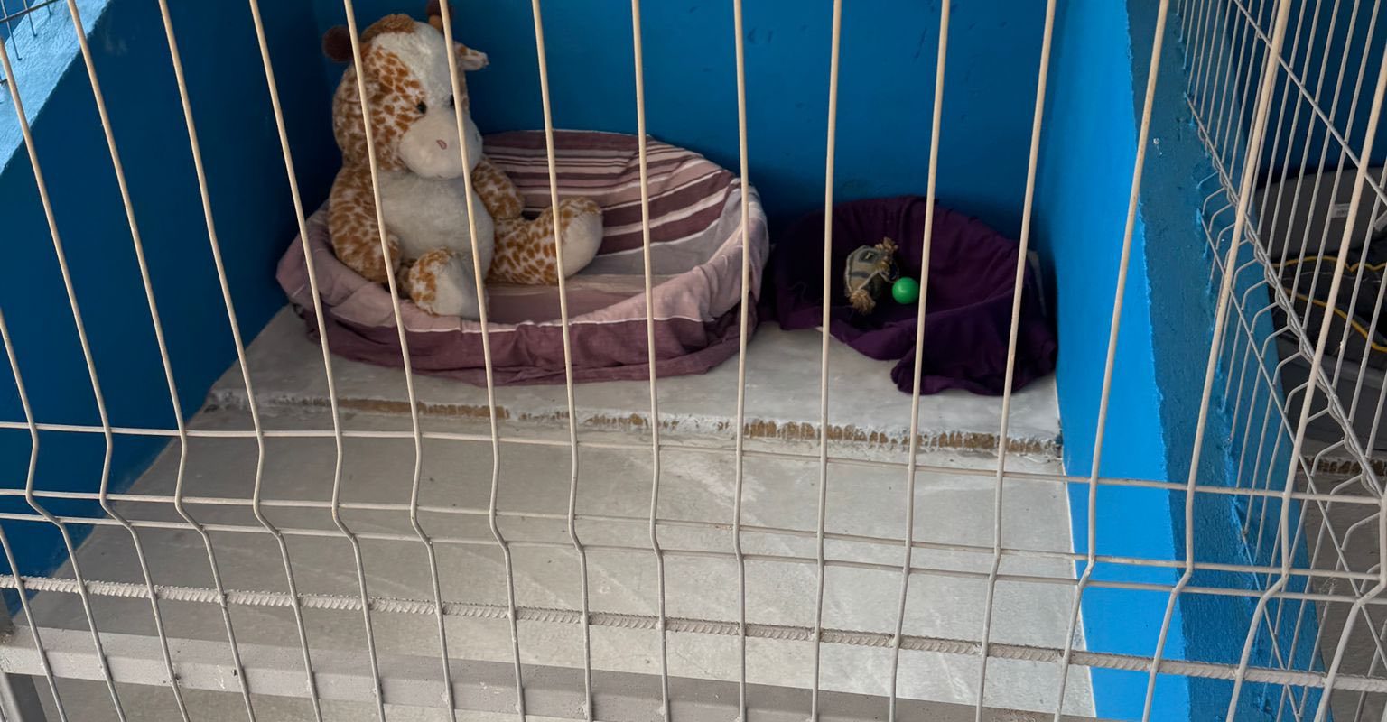 În Ilfov s-a deschis primul centru public de adopții pentru căței