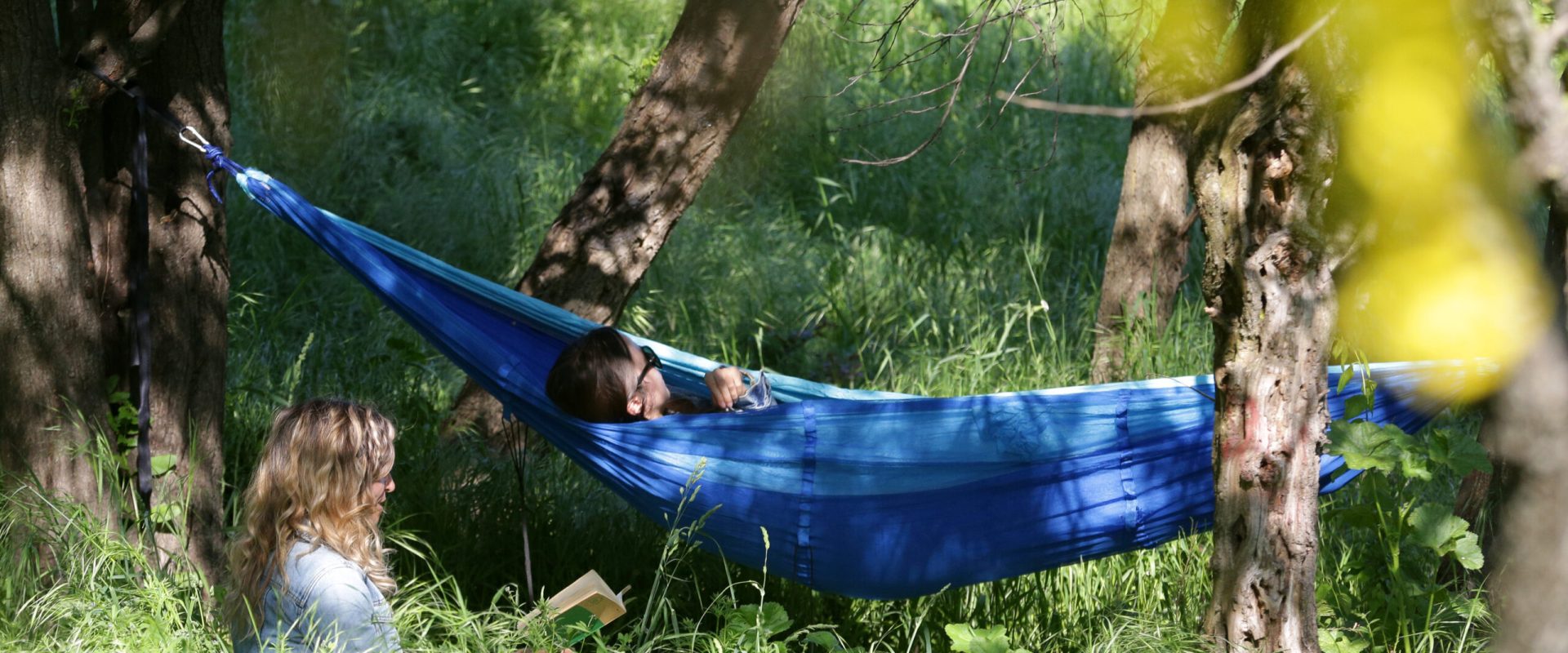 Școala care face elevi milionari: Mii de euro la concursul despre natură