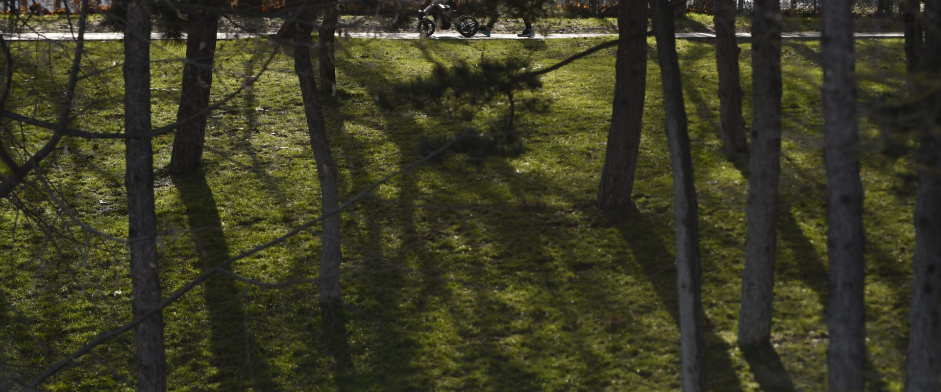 Un parc din București, numit după un președinte american