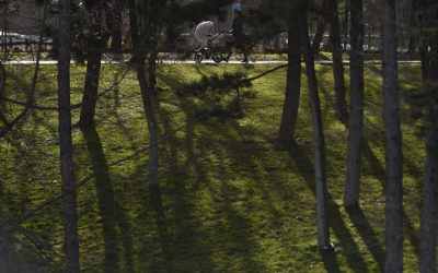 Un parc din București, numit după un președinte american