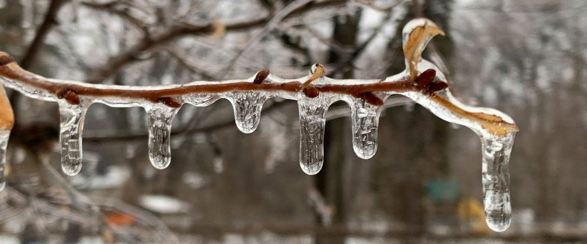 Ninsoare, lapoviță și gheață: Școlile din Minnesota schimbă planurile pentru joi