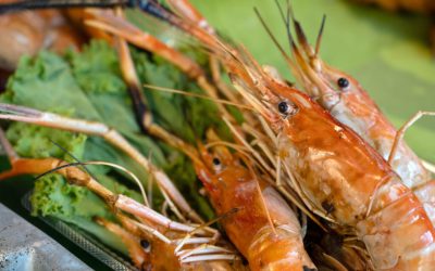 Resturi din pește și fructe de mare: Europa găsește o soluție alimentară