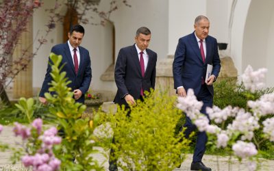 România, strigăt de luptă: „Să arătăm că avem sânge în instalație”