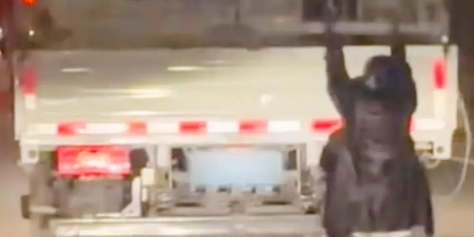 Călător neobișnuit într-un camion: Polițiștii, șocați de descoperire