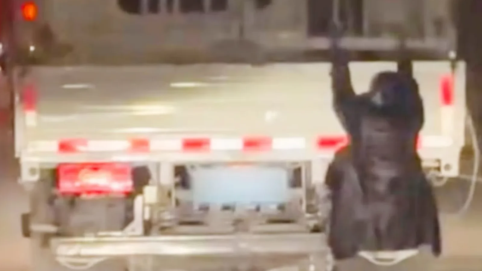 Călător neobișnuit într-un camion: Polițiștii, șocați de descoperire