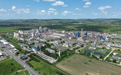 Sindicaliștii AZOMUREȘ, protest în fața Ministerului Energiei, miercuri