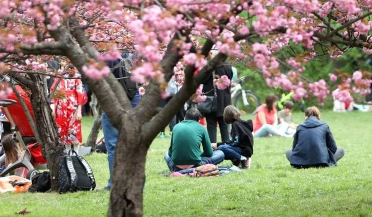 În România, un obicei străvechi din Japonia cucerește inima oamenilor