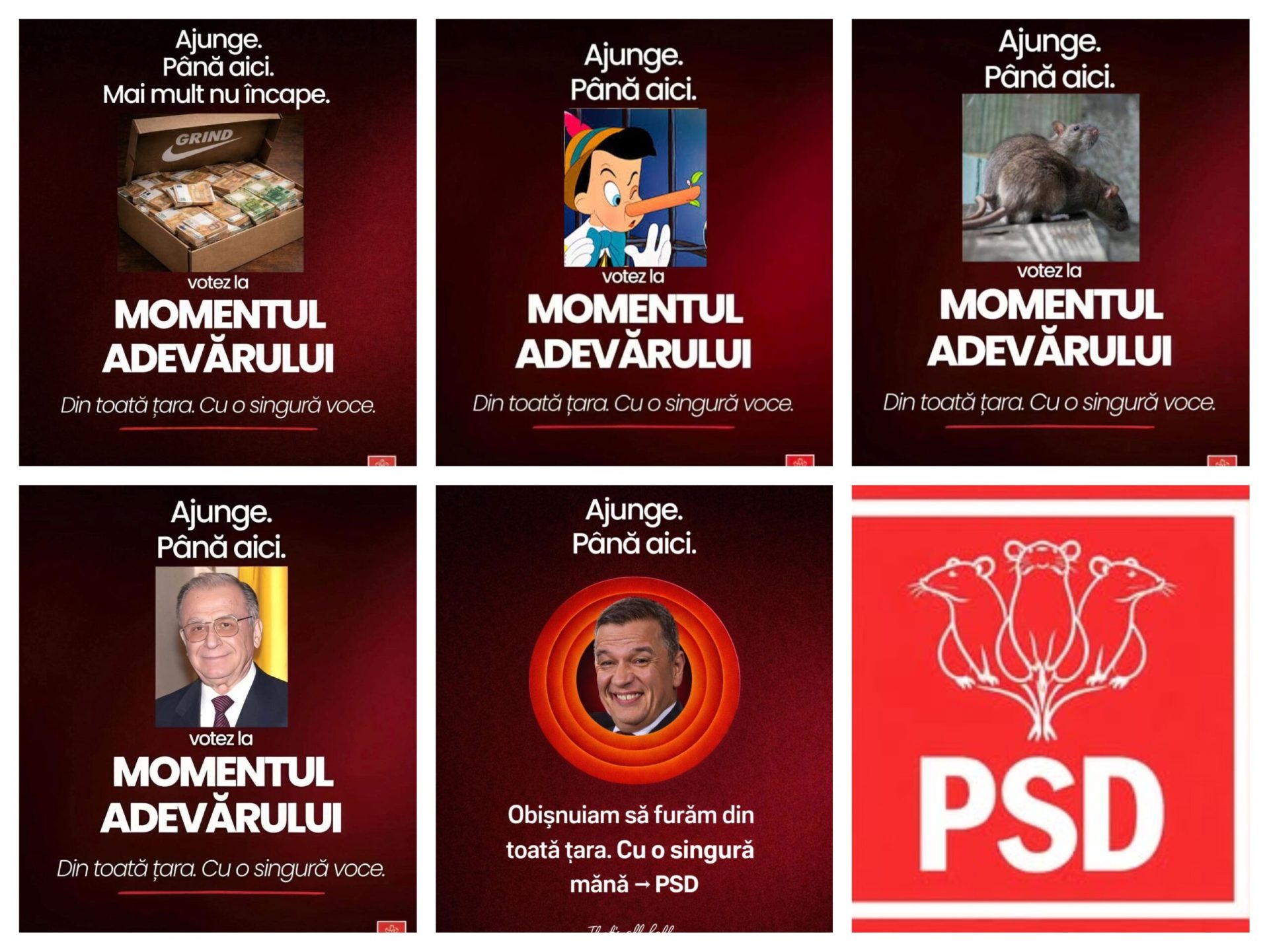 PSD dă Parchetului și CNCD pe creatorii de meme-uri cu șobolani