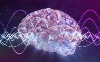 Neurologii sfidați: Mintea umană, mai mult decât neuroni, dezvăluie o teorie șocantă