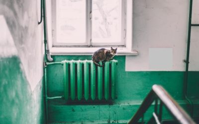 Oradea: ANALIZĂ pentru reluarea căldurii, după ce termometrele au coborât dramatic