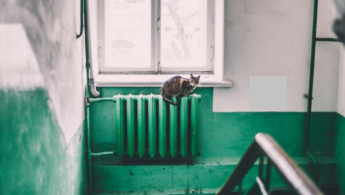 Oradea: ANALIZĂ pentru reluarea căldurii, după ce termometrele au coborât dramatic