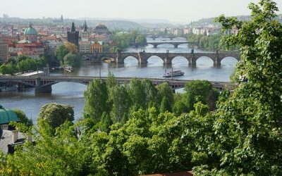 Cehia prelungește viața a patru reactoare nucleare: Încă 20 de ani