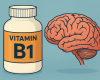 Vitamină B1, secretul din umbră: Teoria veche de 67 de ani e confirmată