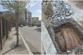 FOTO: București, Sectorul 4, revoltă pe trotuare. 1,6 mil. Euro pentru arbori plantați greșit