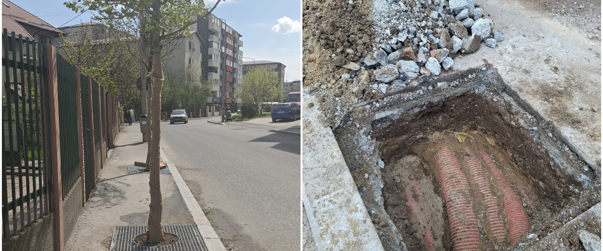 FOTO: București, Sectorul 4, revoltă pe trotuare. 1,6 mil. Euro pentru arbori plantați greșit