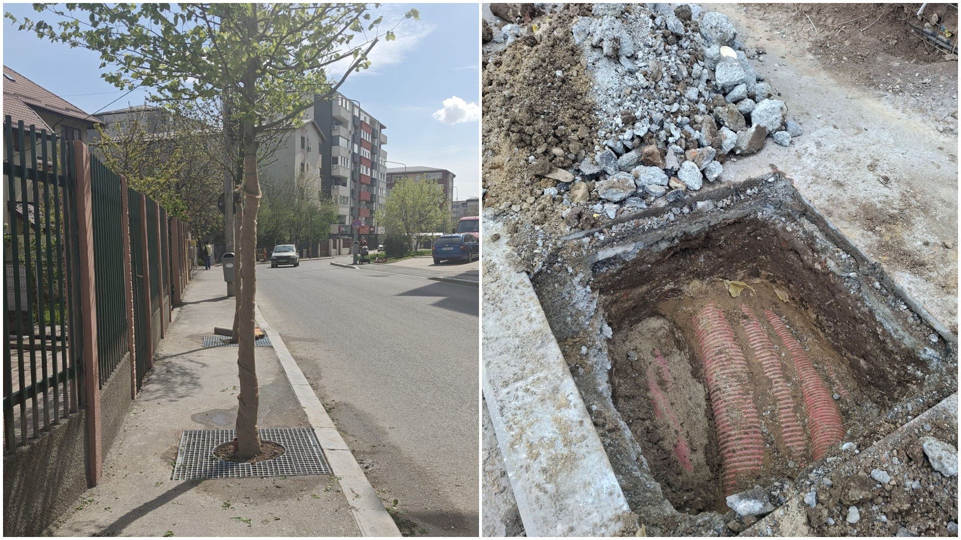 FOTO: București, Sectorul 4, revoltă pe trotuare. 1,6 mil. Euro pentru arbori plantați greșit