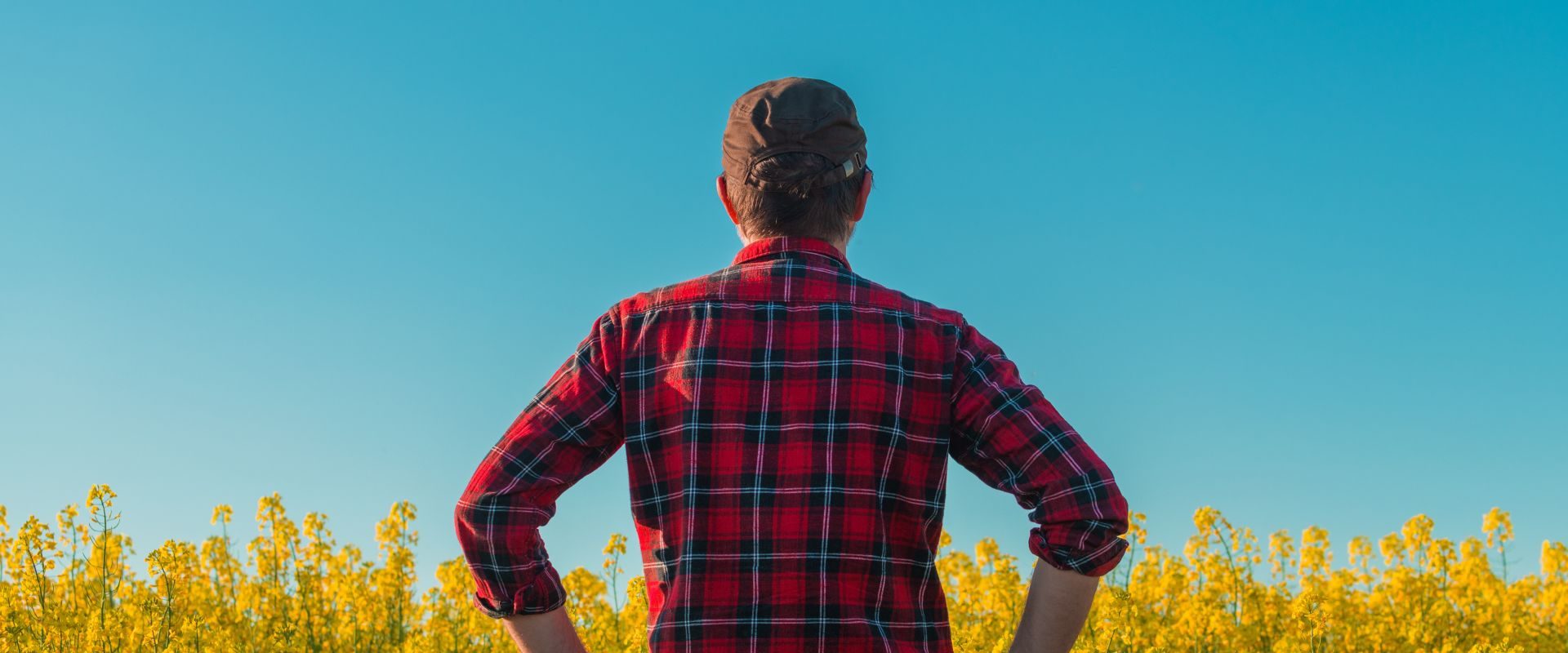 Fenomenul „manosphere”: Politicieni britanici cer măsuri pentru bărbați