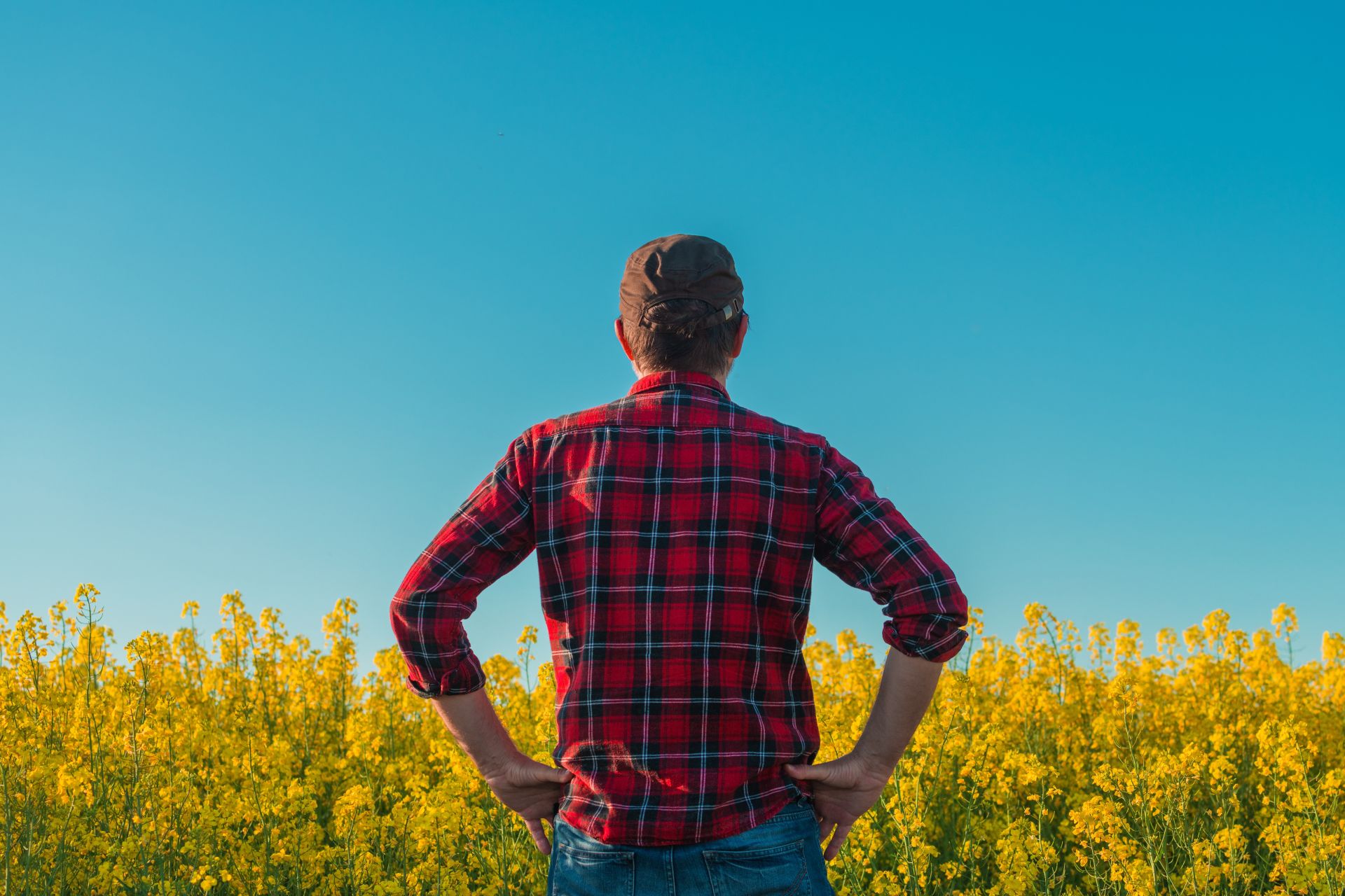 Fenomenul „manosphere”: Politicieni britanici cer măsuri pentru bărbați