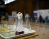 Biofest 2026: Politehnica, laboratorul mâncării viitorului pentru un viitor sustenabil
