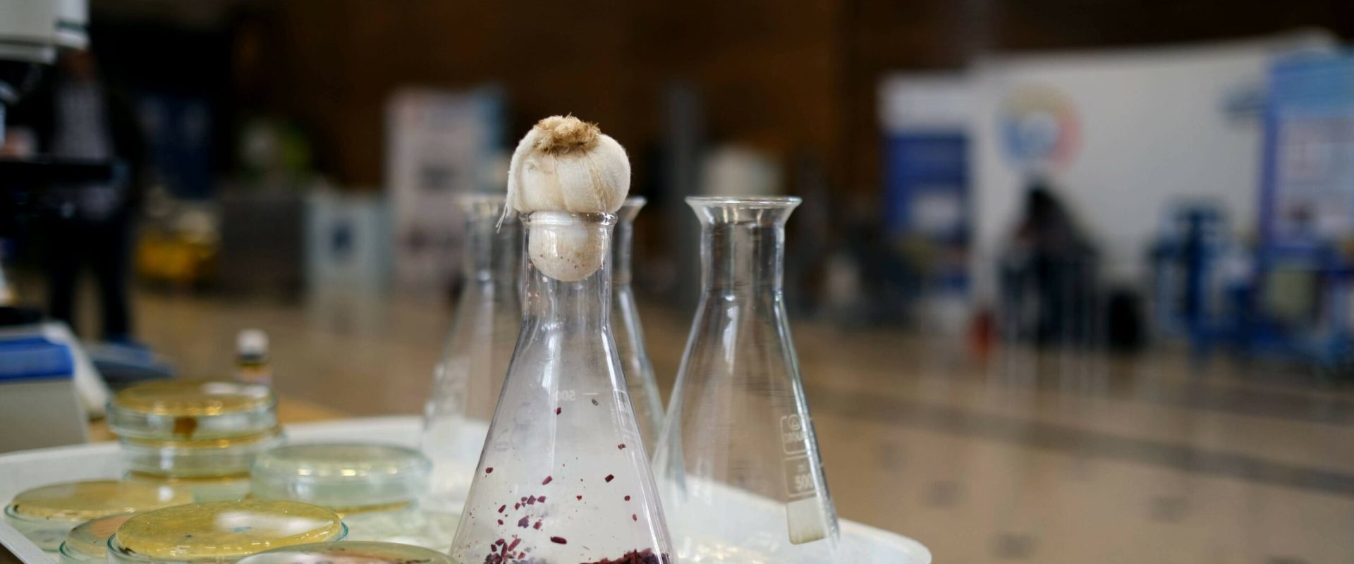 Biofest 2026: Politehnica, laboratorul mâncării viitorului pentru un viitor sustenabil