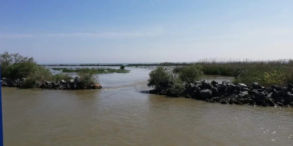 Administrația Rezervației Biosferei Delta Dunării (ARBDD) a anunțat instituirea prohibiției pentru pescuit în habitatele acvatice naturale, începând cu data de 9 aprilie 2026